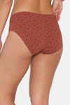 Zivame Low Rise Full Coverage Bikini Panty (Pack of 3) - Multicolor — thumbnail 7